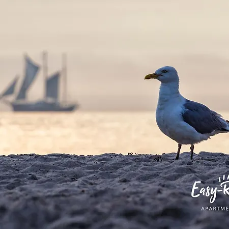 Nowoczesny Grunwaldzka 12 - D3 - 50m Od Plazy Apartamento